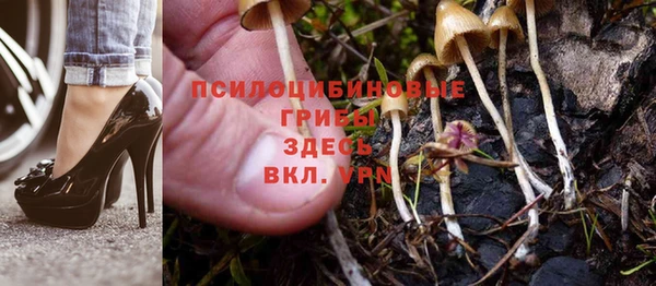 МДПВ Аркадак
