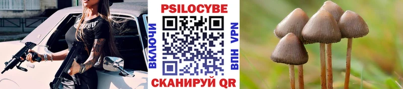 Псилоцибиновые грибы Psilocybine cubensis  Макушино 