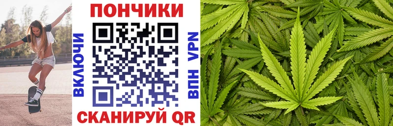 сколько стоит  mega tor  МАРИХУАНА Amnesia  Макушино 